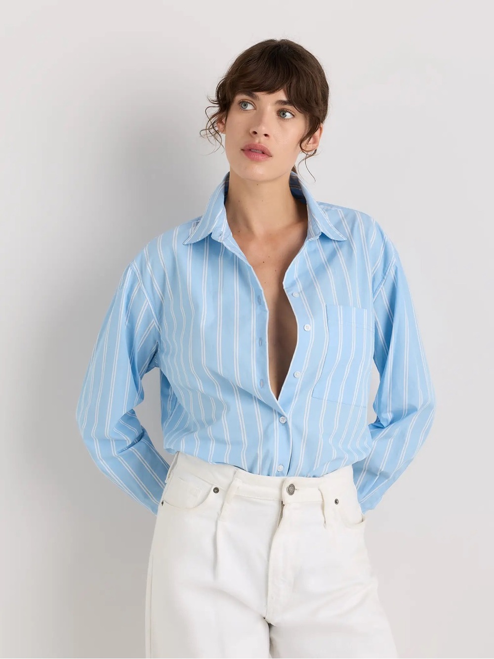 New Quince Cotton Poplin Long Sleeve Boyfriend Shirt Delta Blue Double Stripe